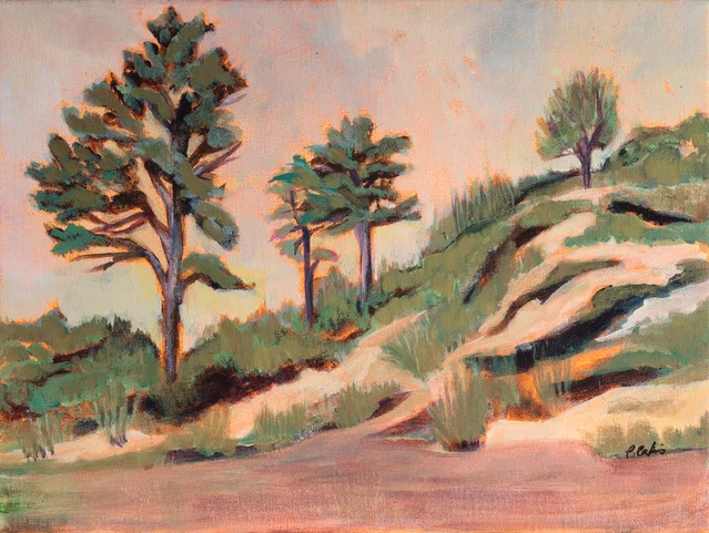 Sunset Over the Hill