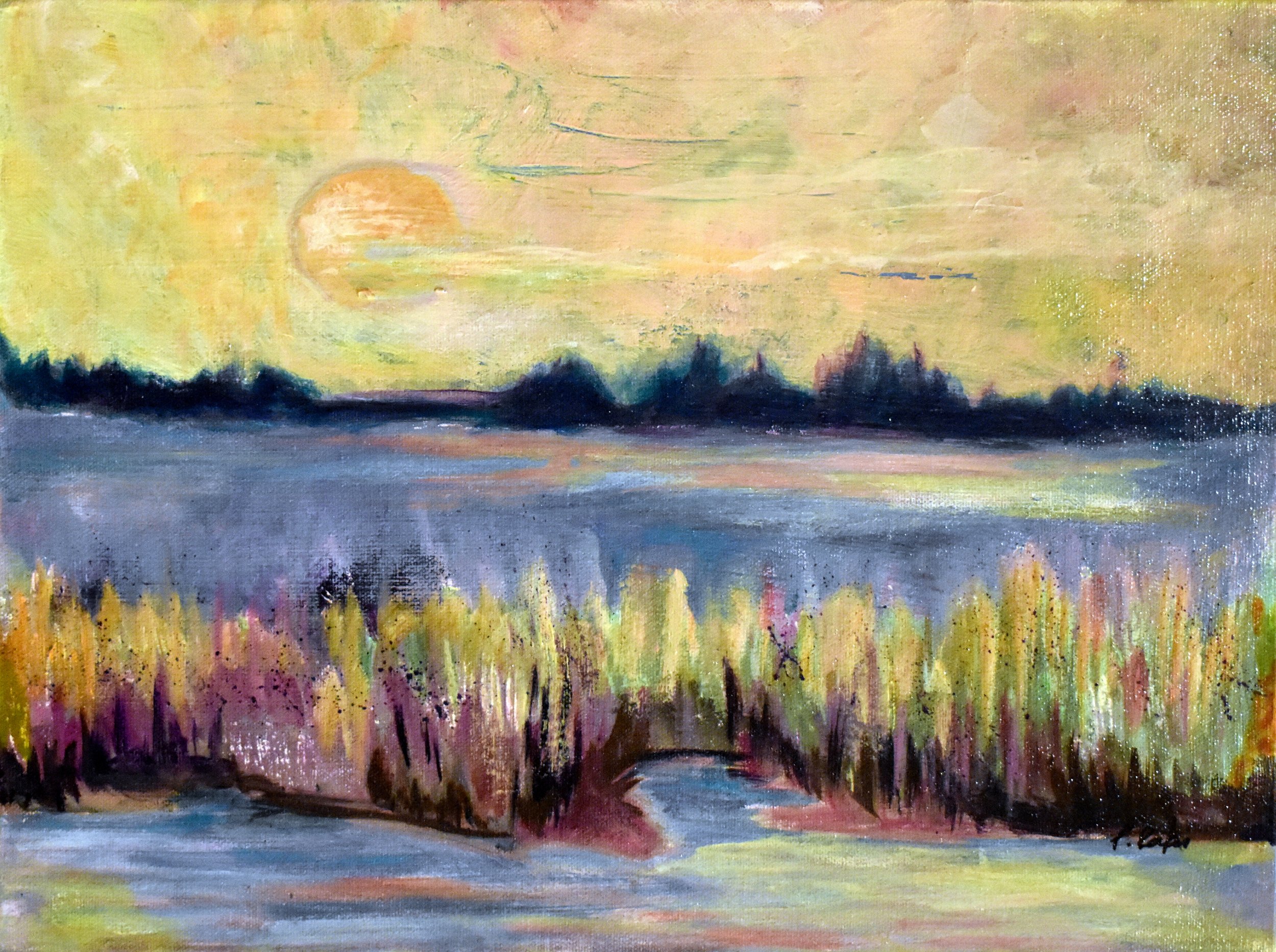 Delaware Marsh.JPG