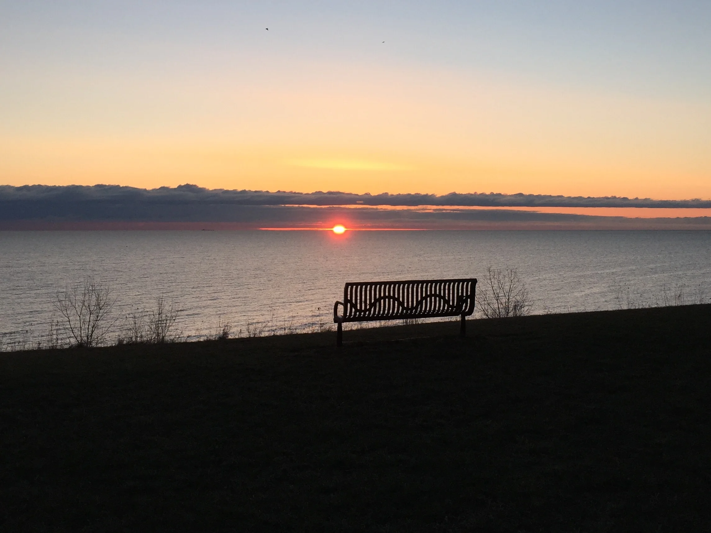 Thriving: Gratitude