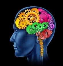 006 - The Impact of Choices on the Brain