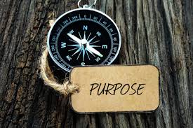 042 - Purpose: Why do you do what you do?