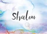 051 - A Culture of Shalom