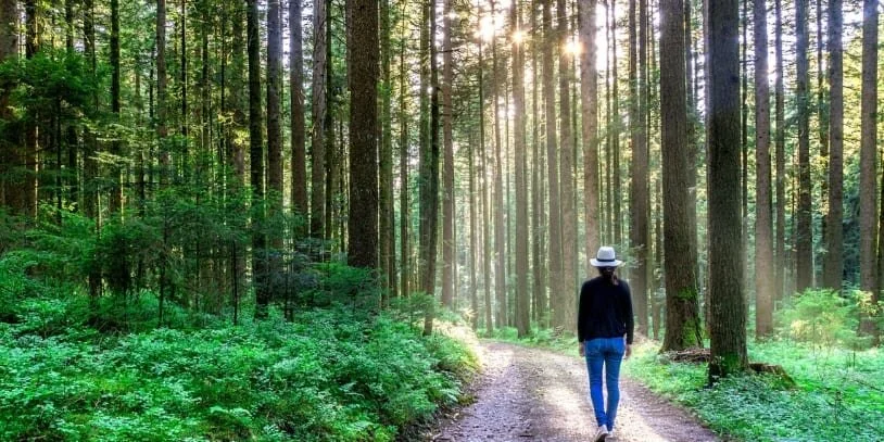 119 - Is Experience Really Our Best Teacher?