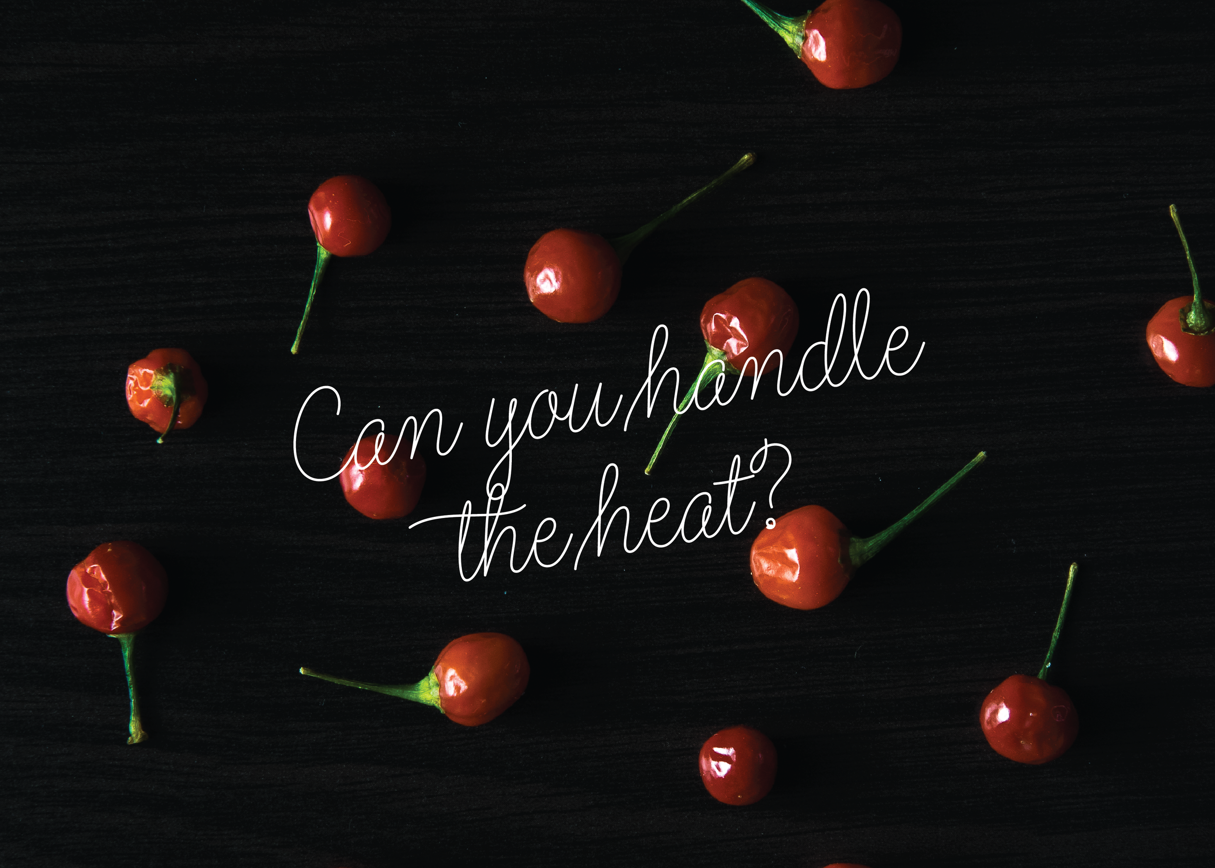 WebsiteImagesandIconsHandletheHeat-04.png