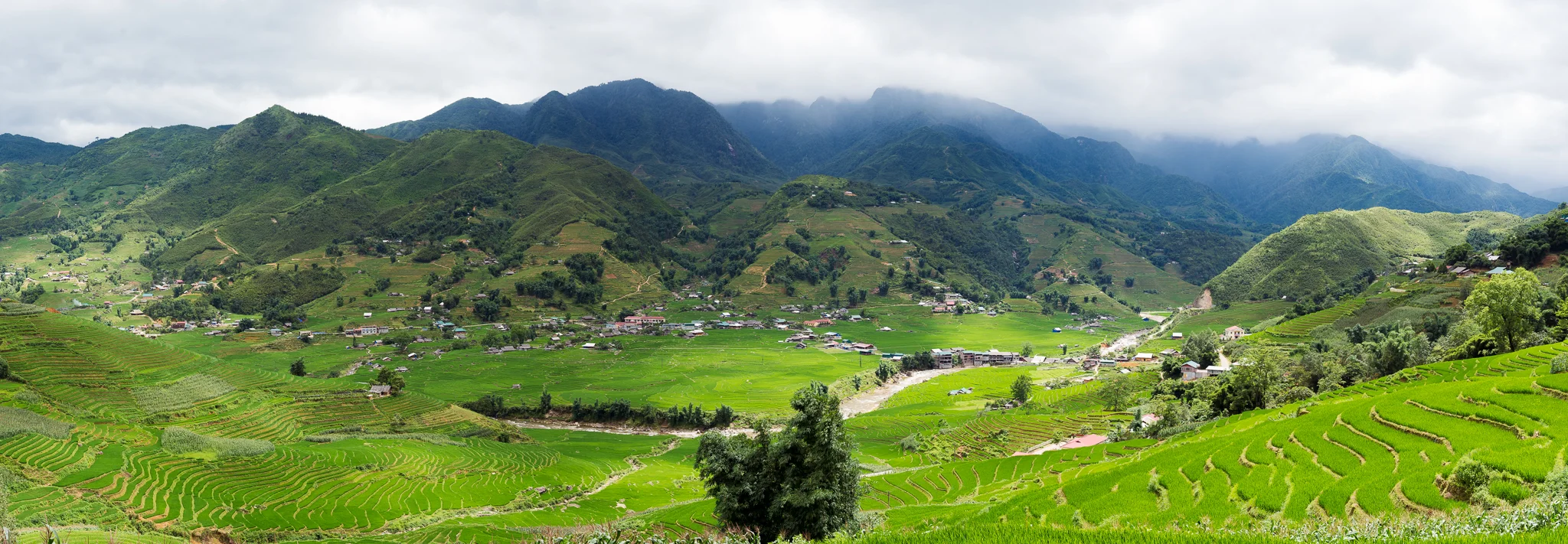 A panoramic view of rice terraces in Sapa valley and village Lao Chai.jpg