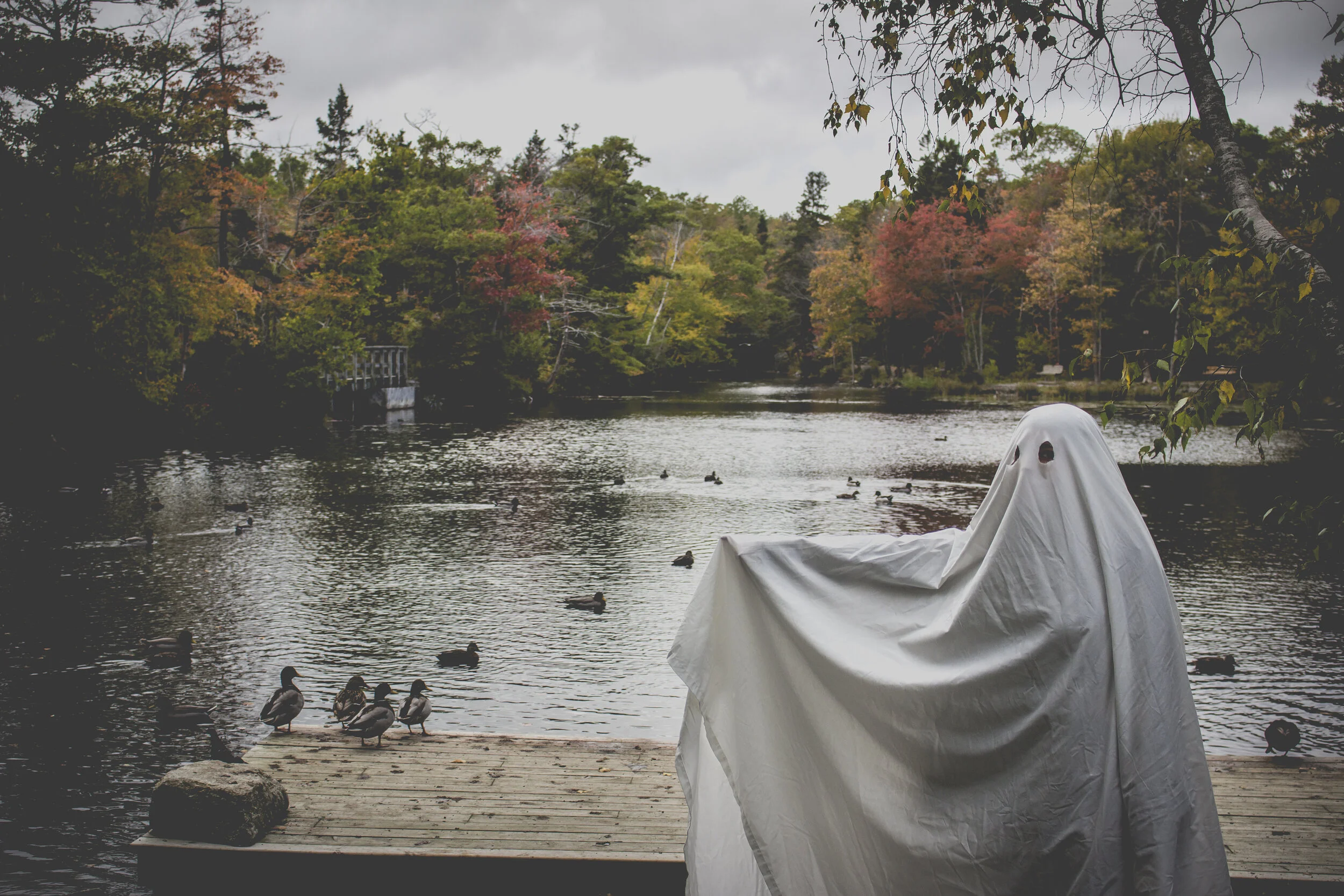 AlexOctober7th2020-6.jpg