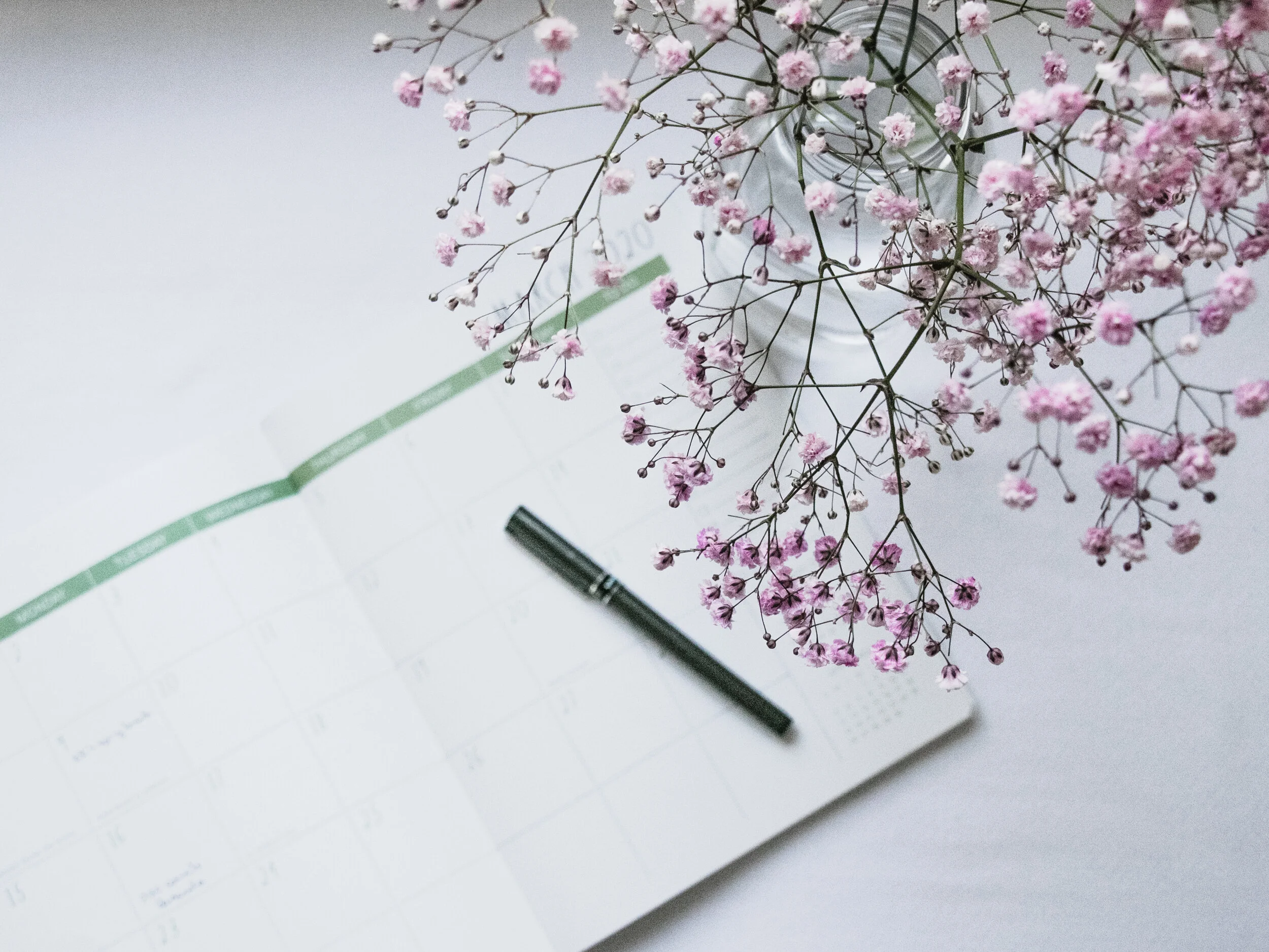 Workbook guide