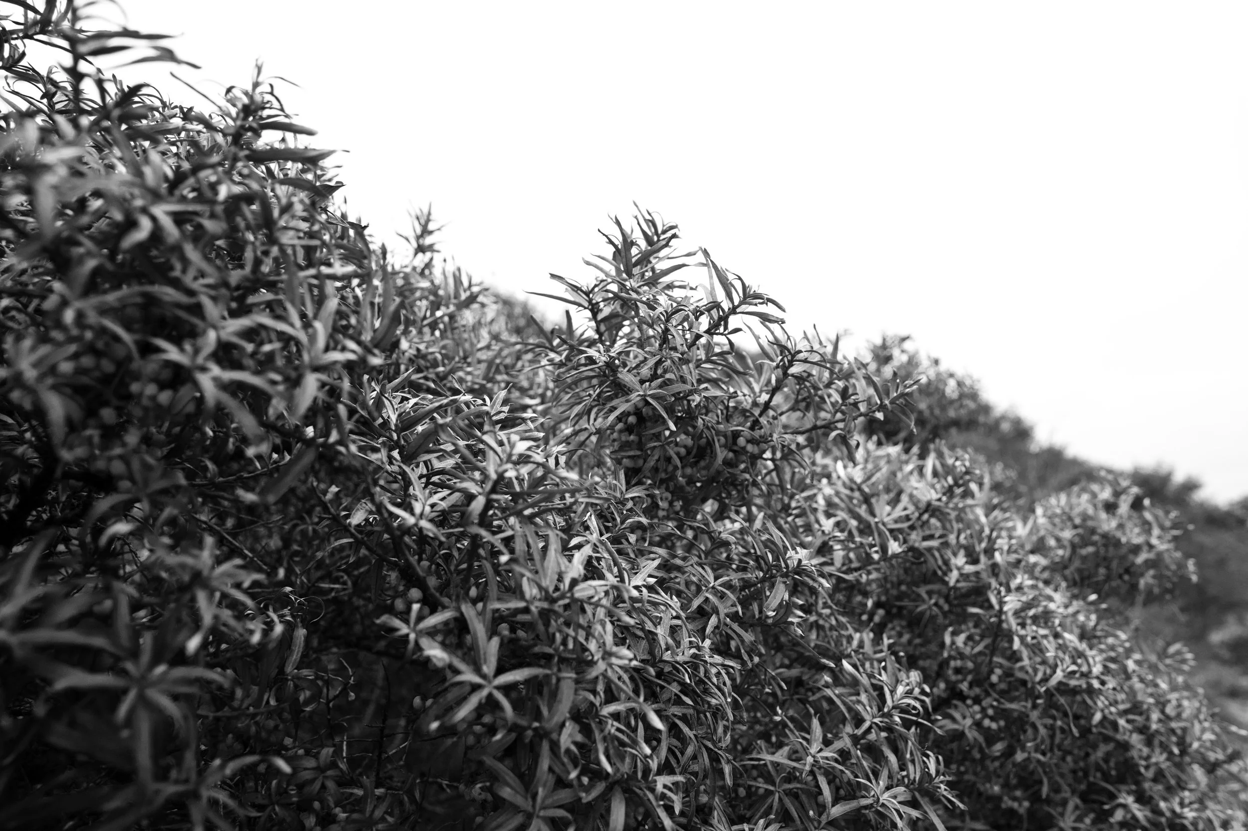 _N3A7560-Edit.jpg