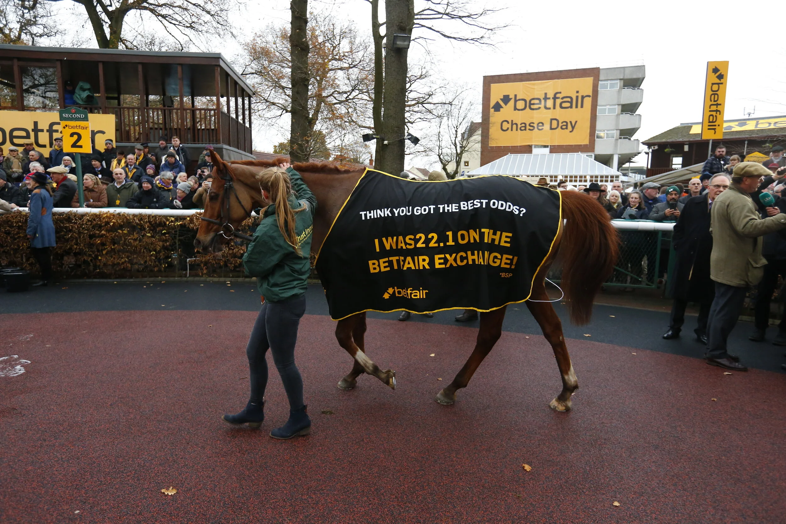 The Betfair Rug