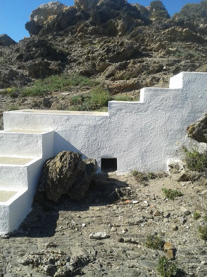 experience and expertise.png