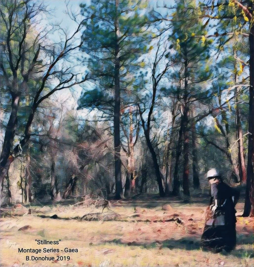 “Stillness” by B. Donohue. I was in the mood for nature today, but ventured instead to the grocery store…