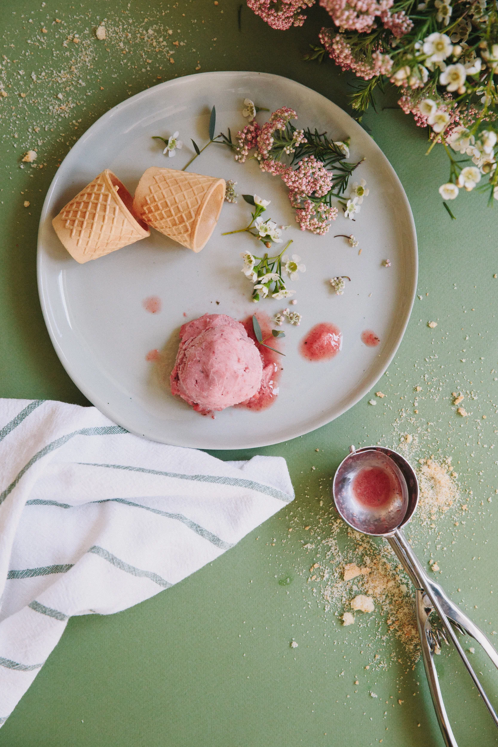 Food Editorial Photography of Gelataria Portuense with Jardin D'époque and Oceânica Photography. Pink ice cream on green background.