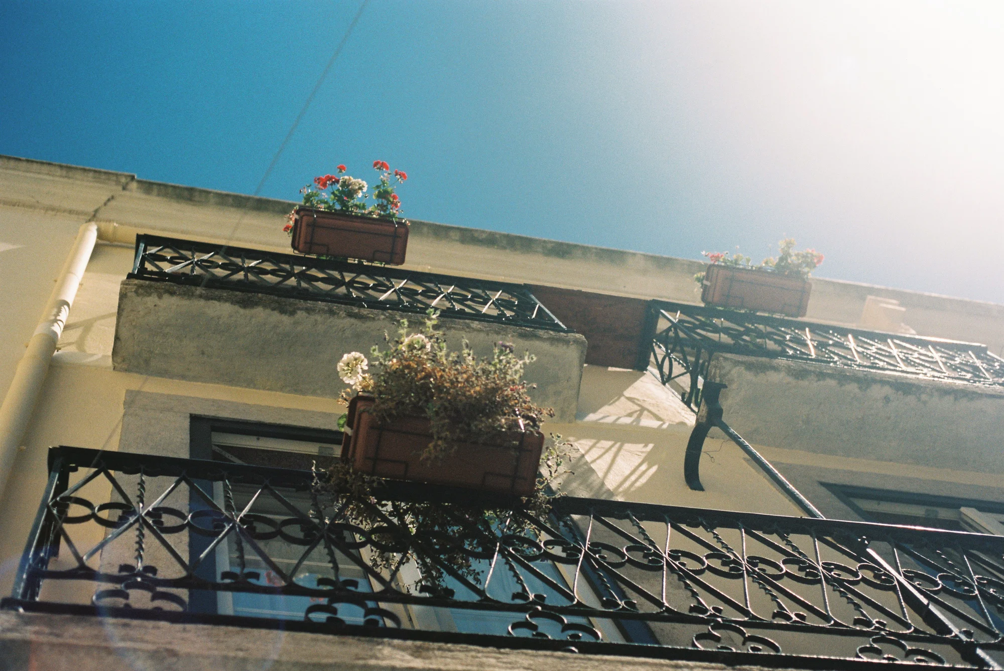 Fotografia-Analogica-Lisboa-Filme-Oceanica-2.jpg