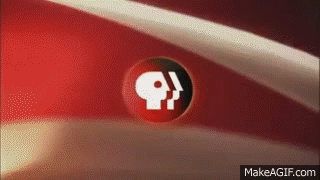 Lights, Camera, Action