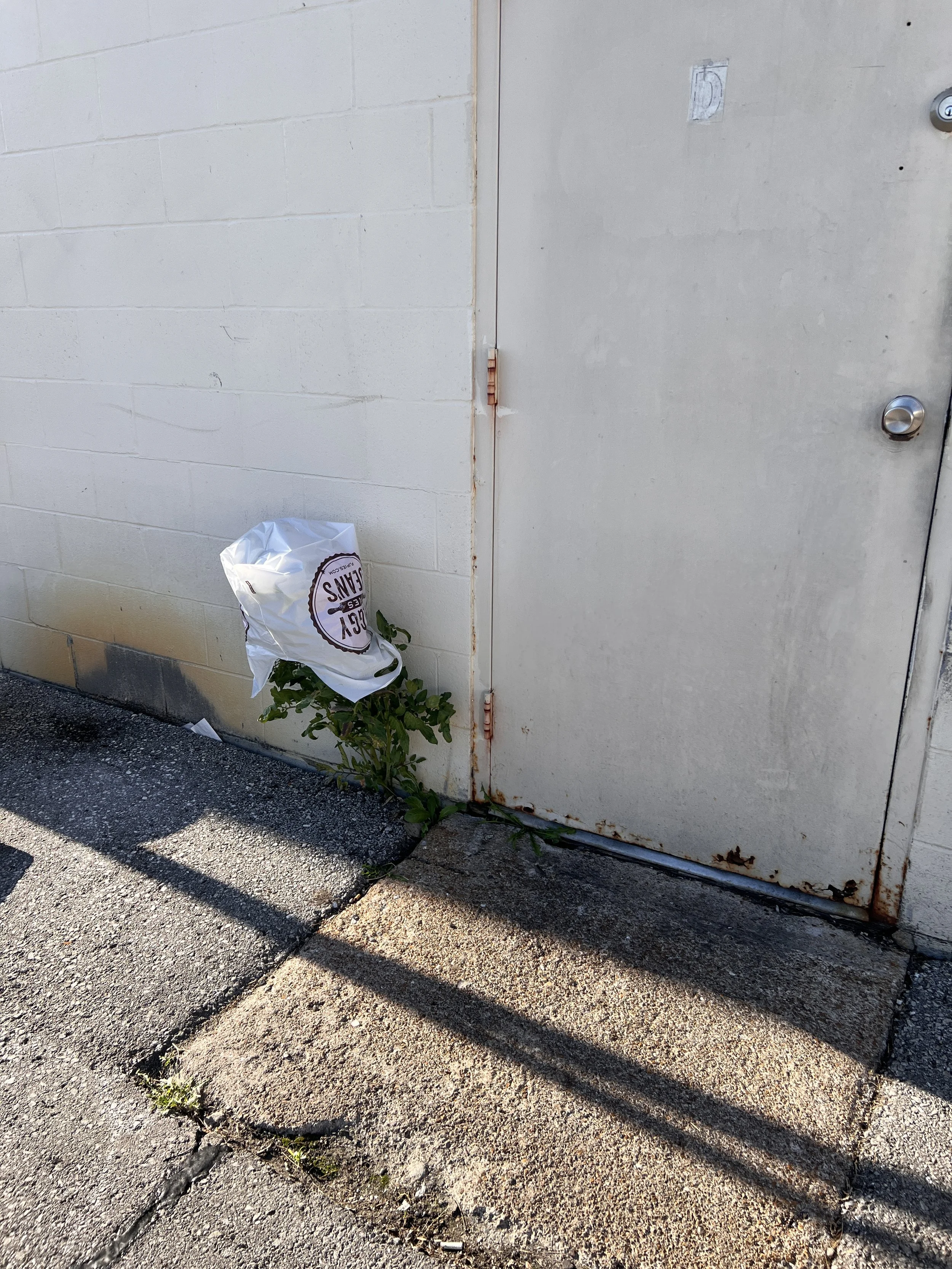 That Would Be A Scene