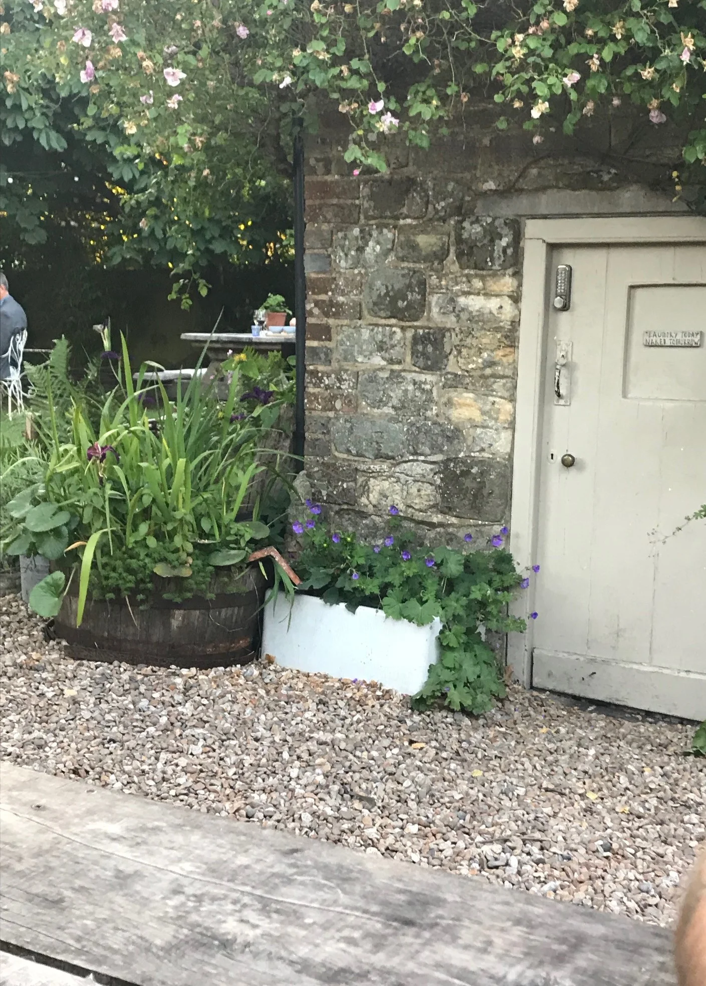 garden 1.jpg