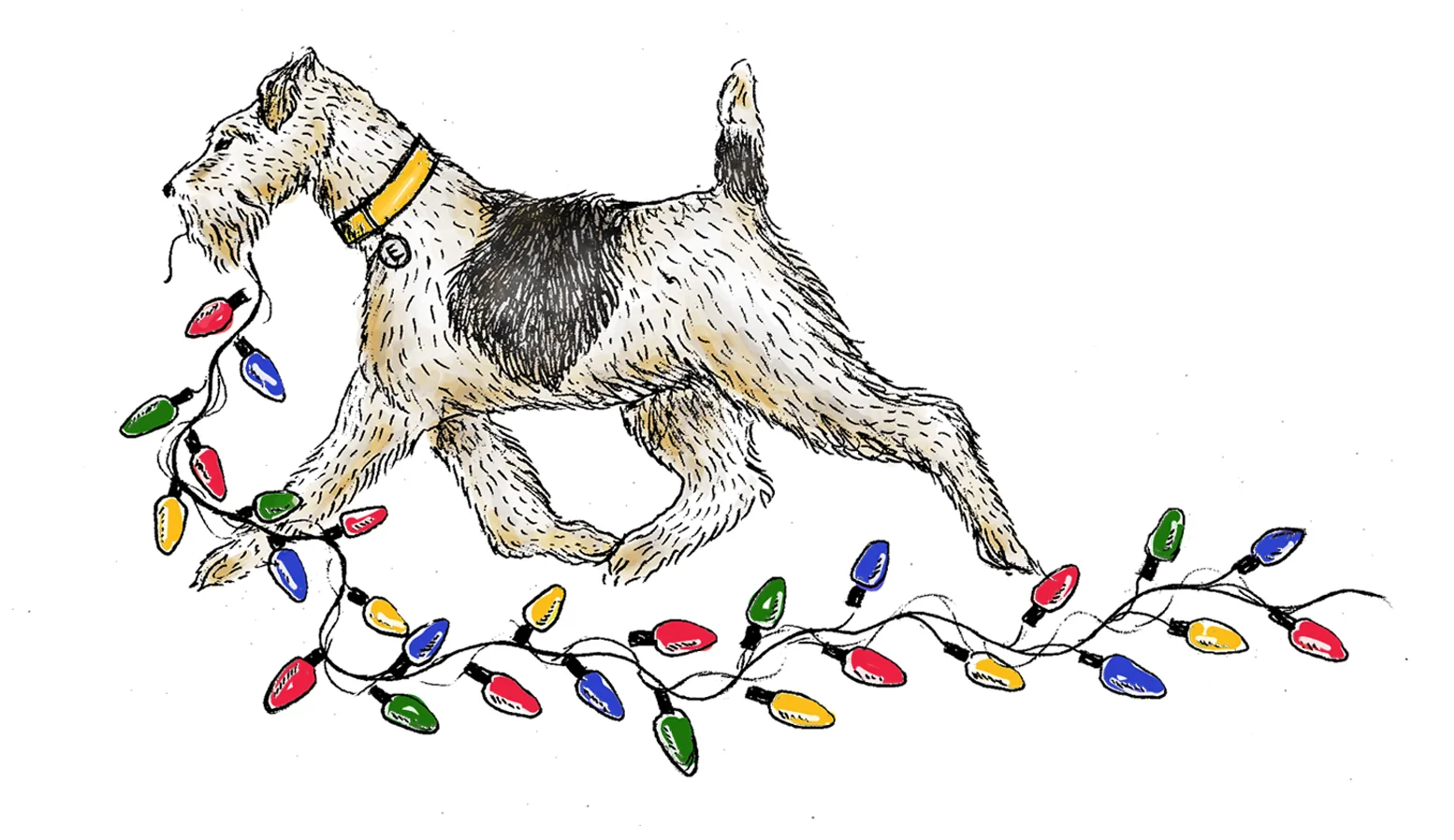 ernie with xmas lights (1).jpg