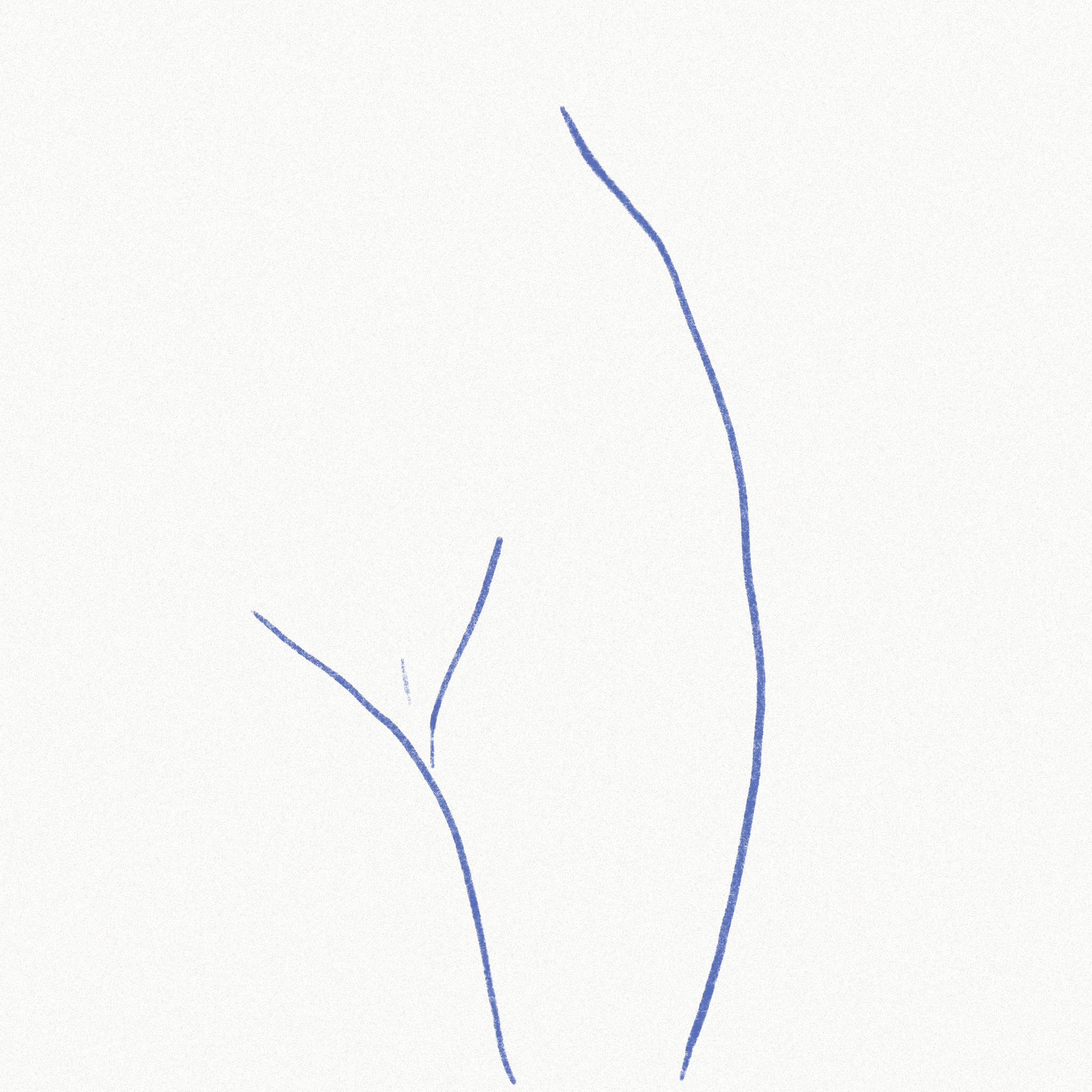 Untitled_Artwork 49.PNG