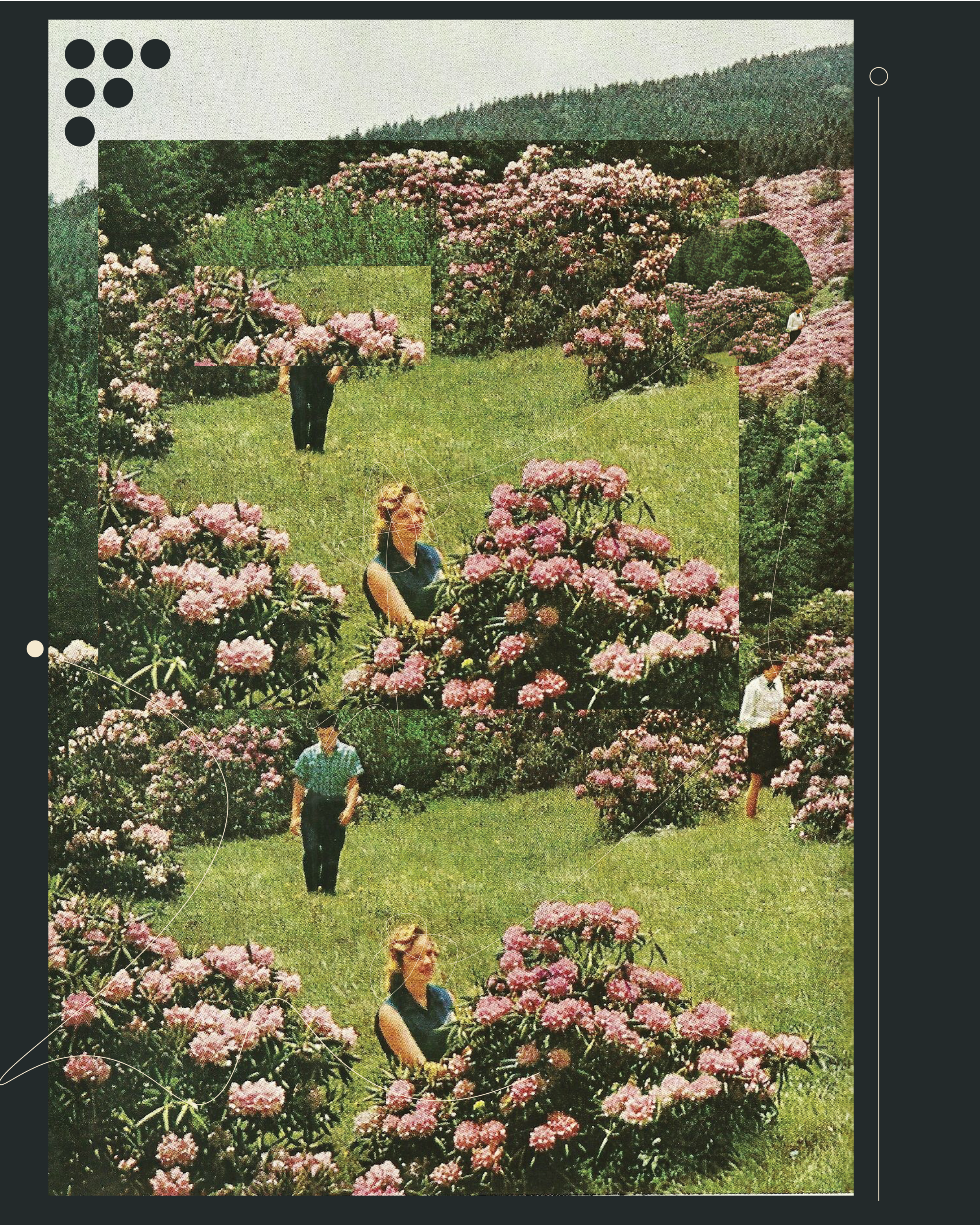flowerfinal-01.png