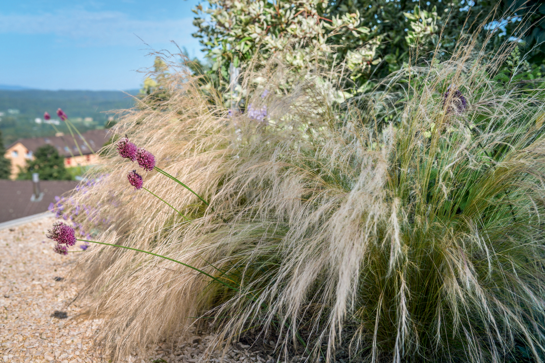 gartensituation-02.jpg