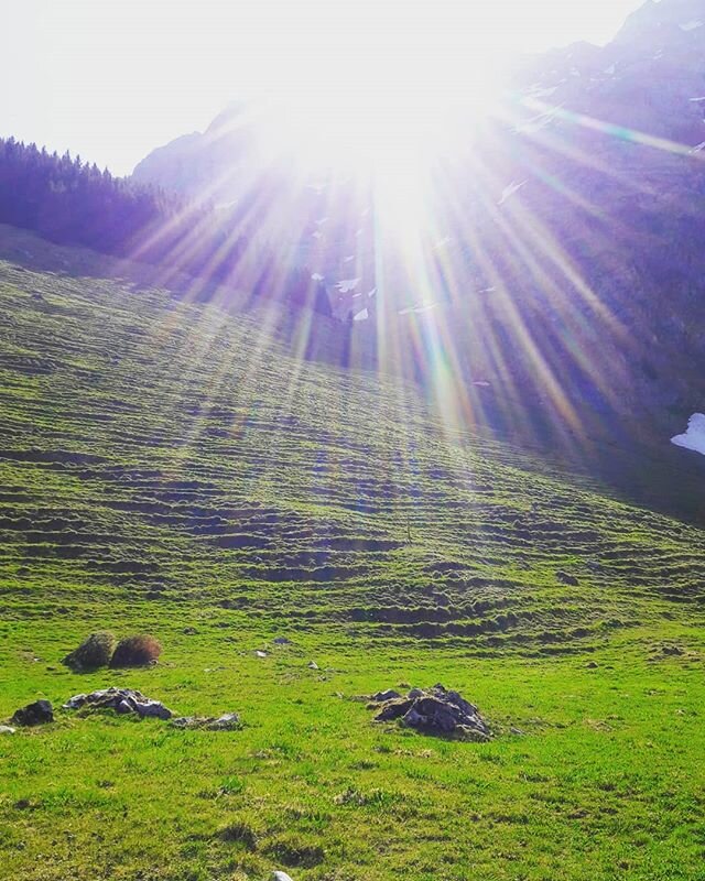 Schw&auml;galp Appenzell
#schw&auml;galp #appenzell #appenzellerland #s&auml;ntis #s&auml;ntisderberg #toggenburg #toggenburgtourismus #alp #nature #natur #landschaft #berge #bergliebe #swissmountains #111orterundumdens&auml;ntis