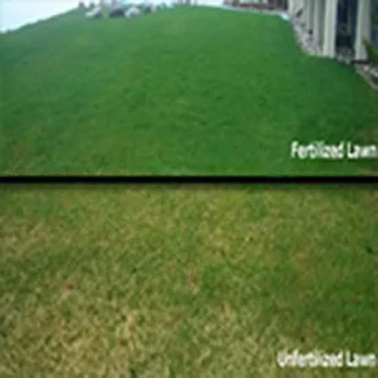 Lawn-Fertilizer-and-Weed-Control-Nitrogen-Fertilizer.jpg
