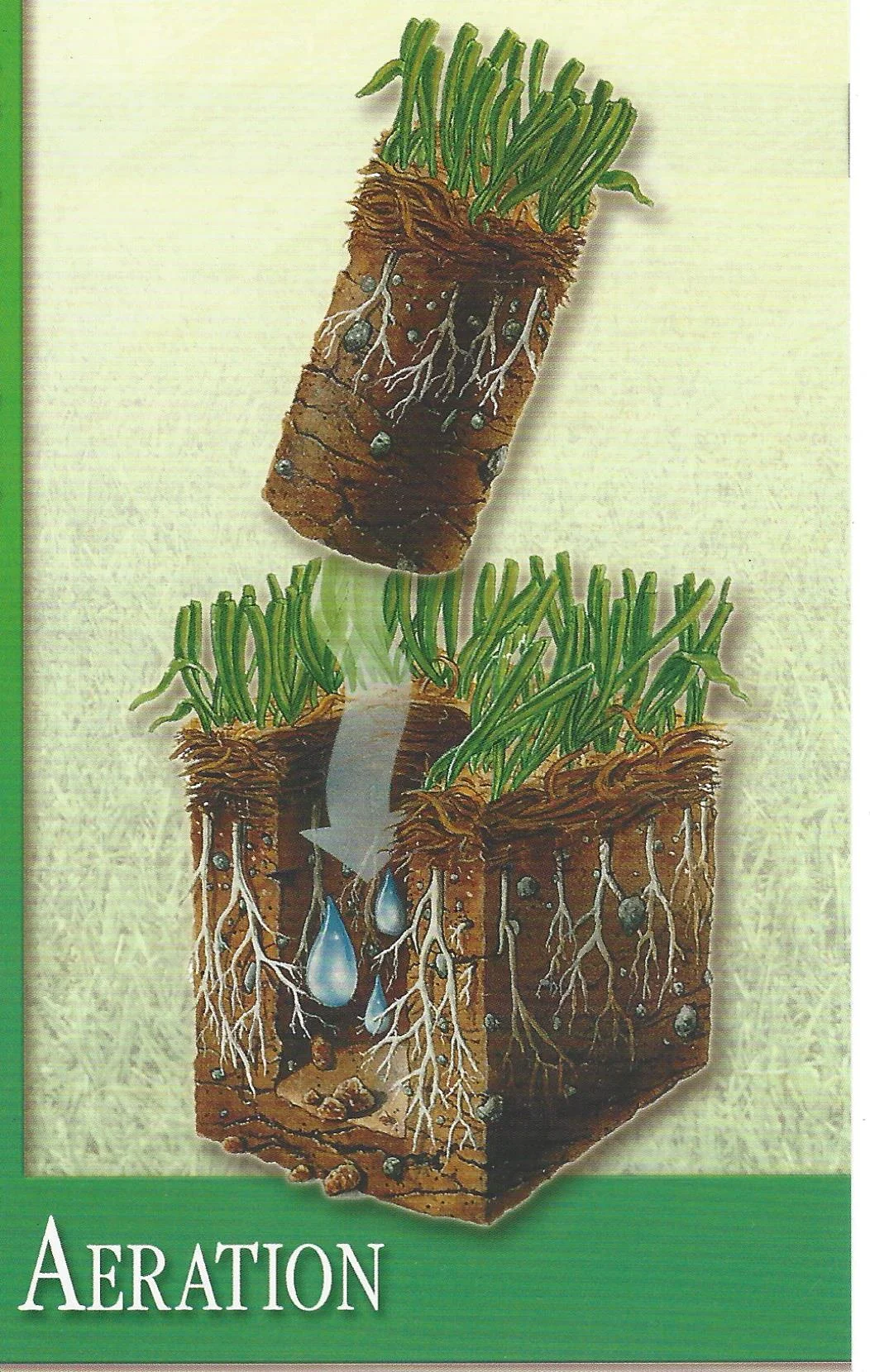 aeration.jpg