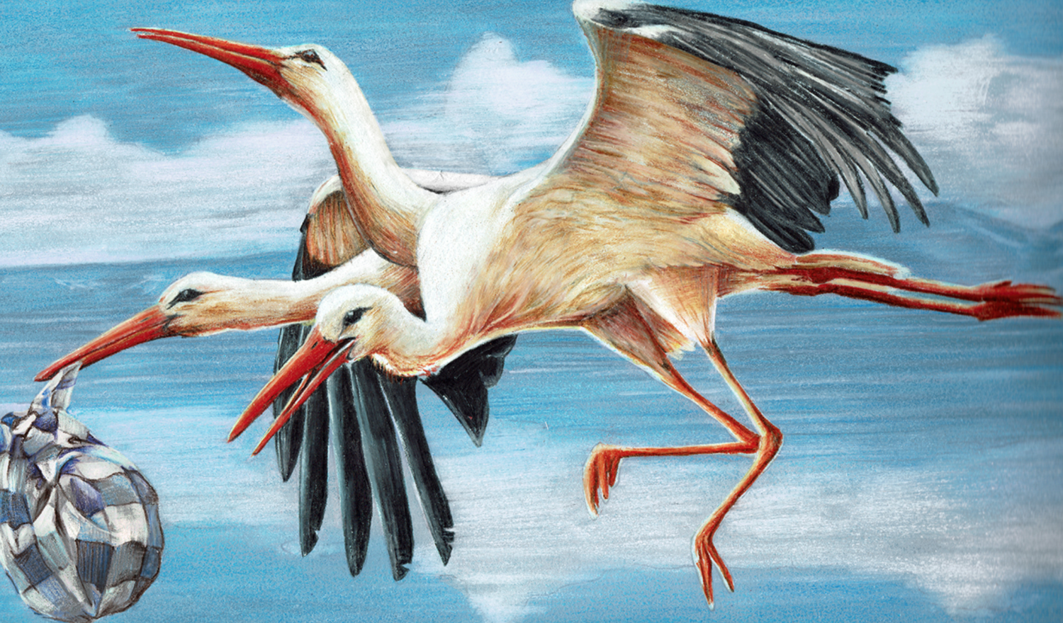 stork-illustration.png