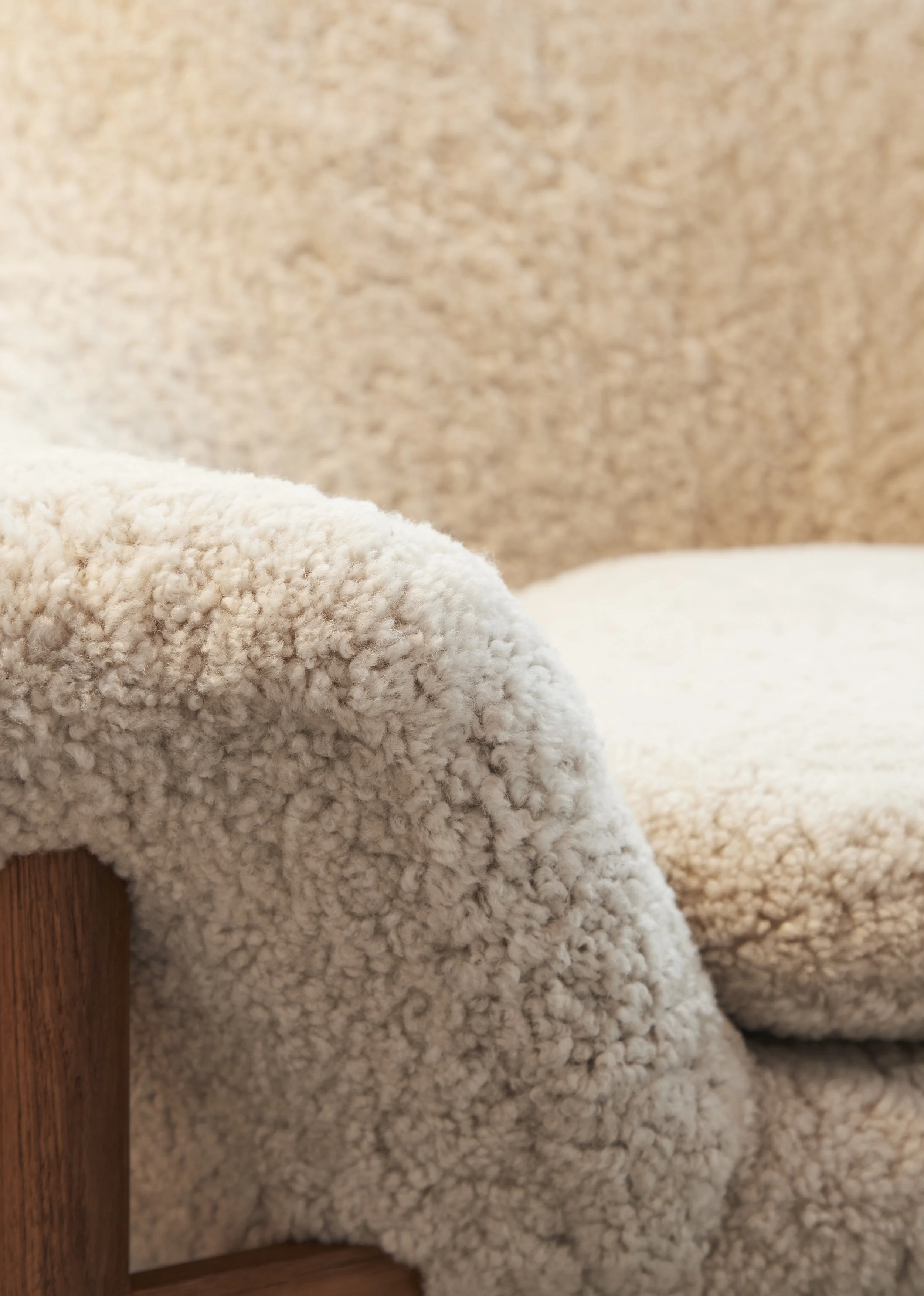 Close up details of the Fried Egg in Sheepskin, Moonlight