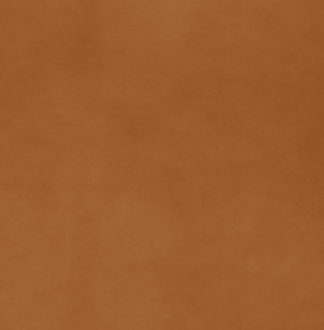 Klassik Saddle Leather Upholstery Collection — GESTALT NEW YORK