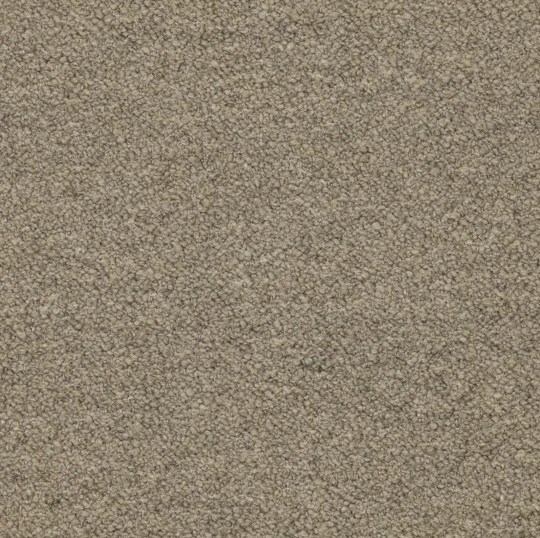 Mario Sirtori Orsetto 05/10