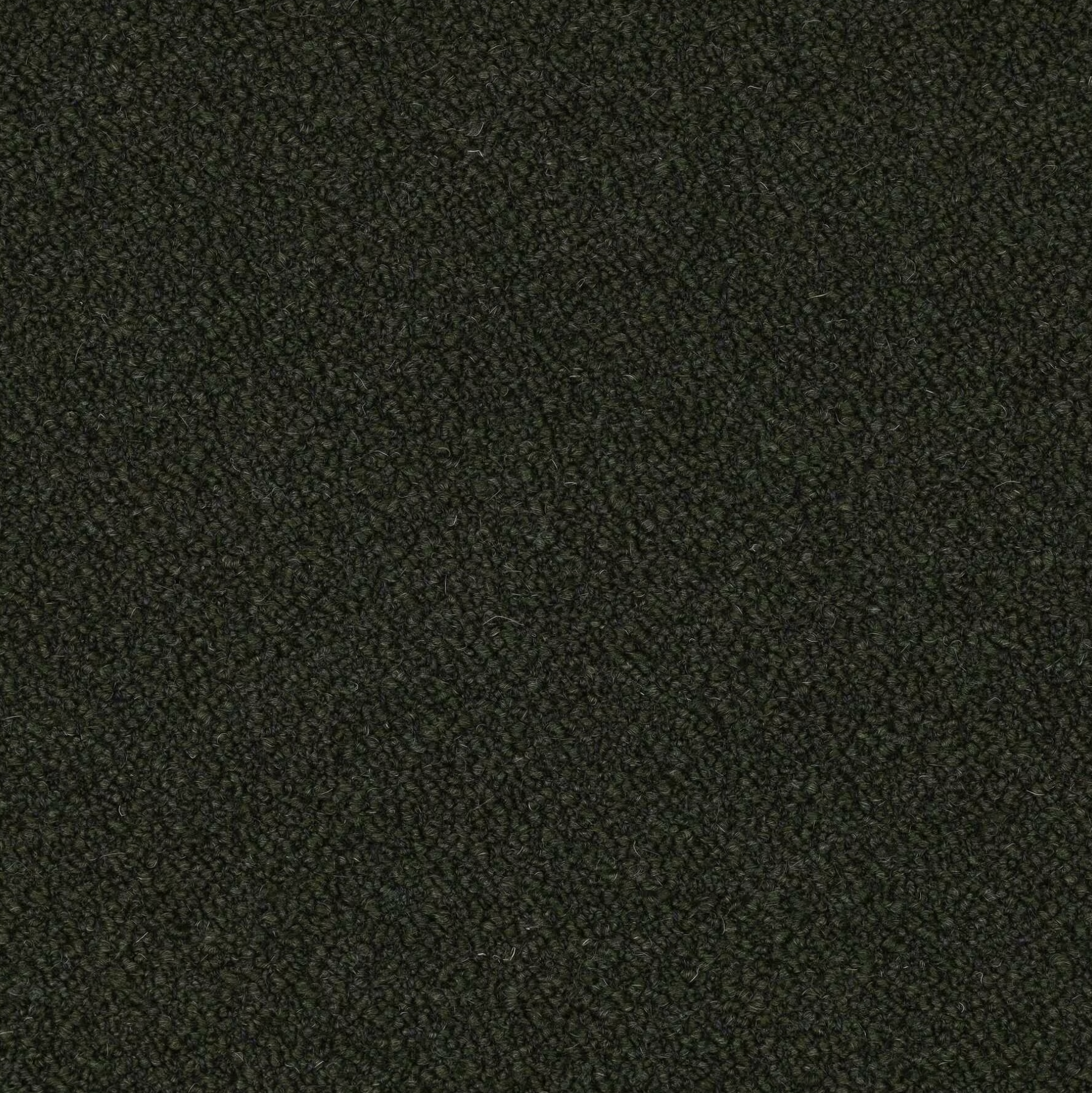 Mario Sirtori Orsetto 98/18