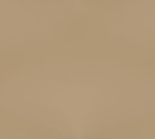 Savanne Nature 30323