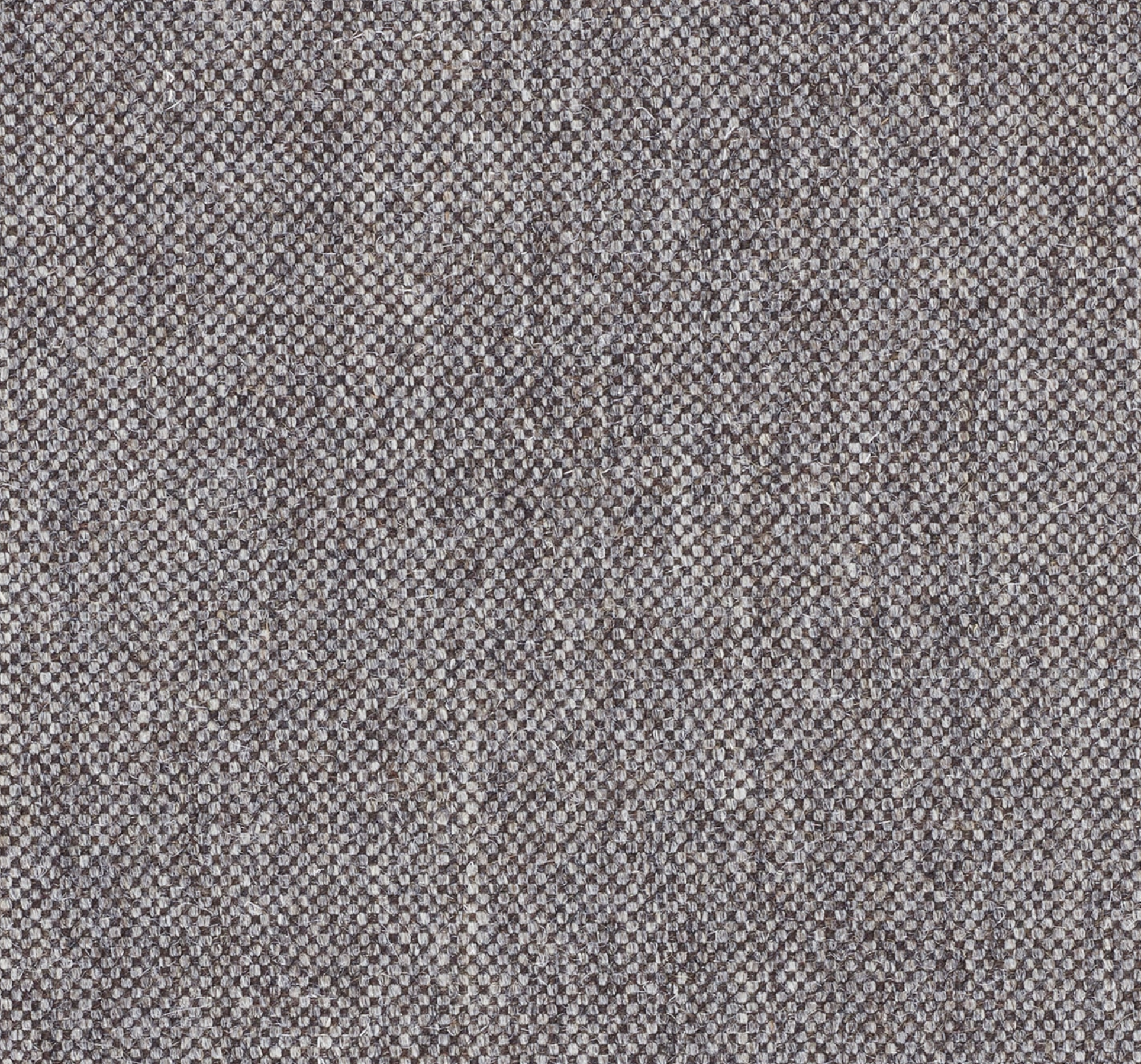 Kvadrat Molly 