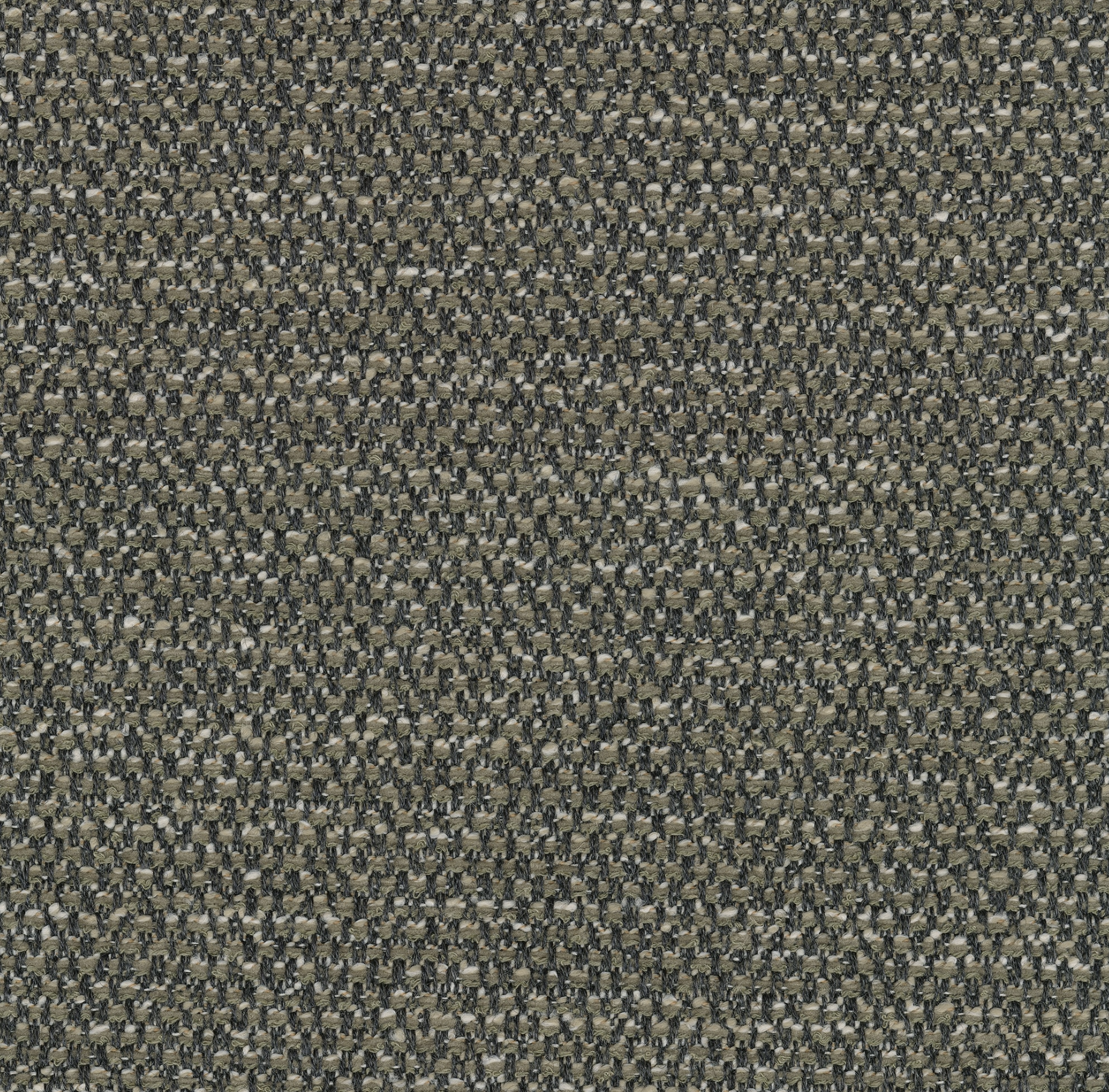 Kvadrat Savanna