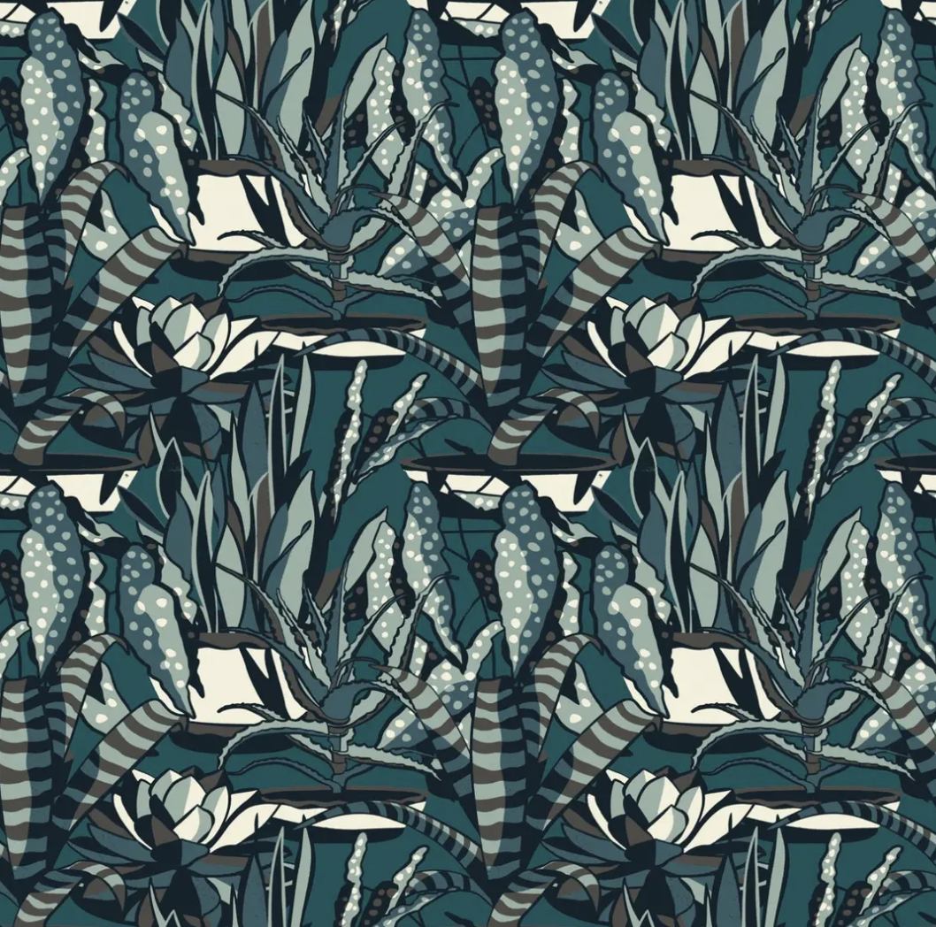 Nobilis Agaves
