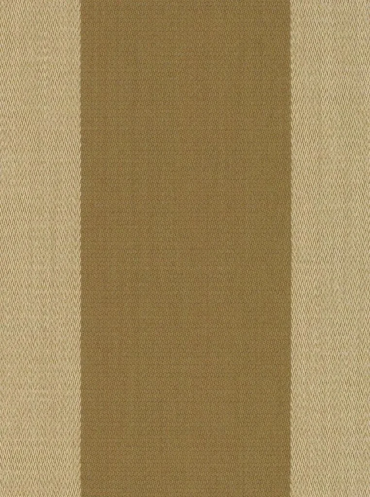 Matre Stripe in Beige