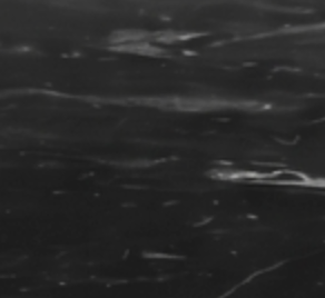 Black Marble