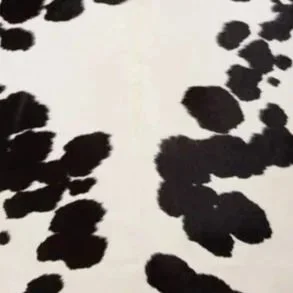 Black/White
