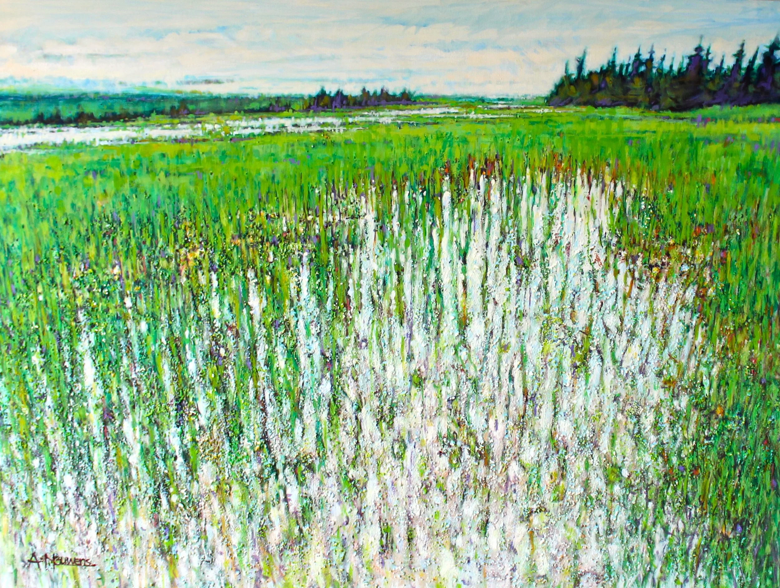 Prince Edward Island Wetlands