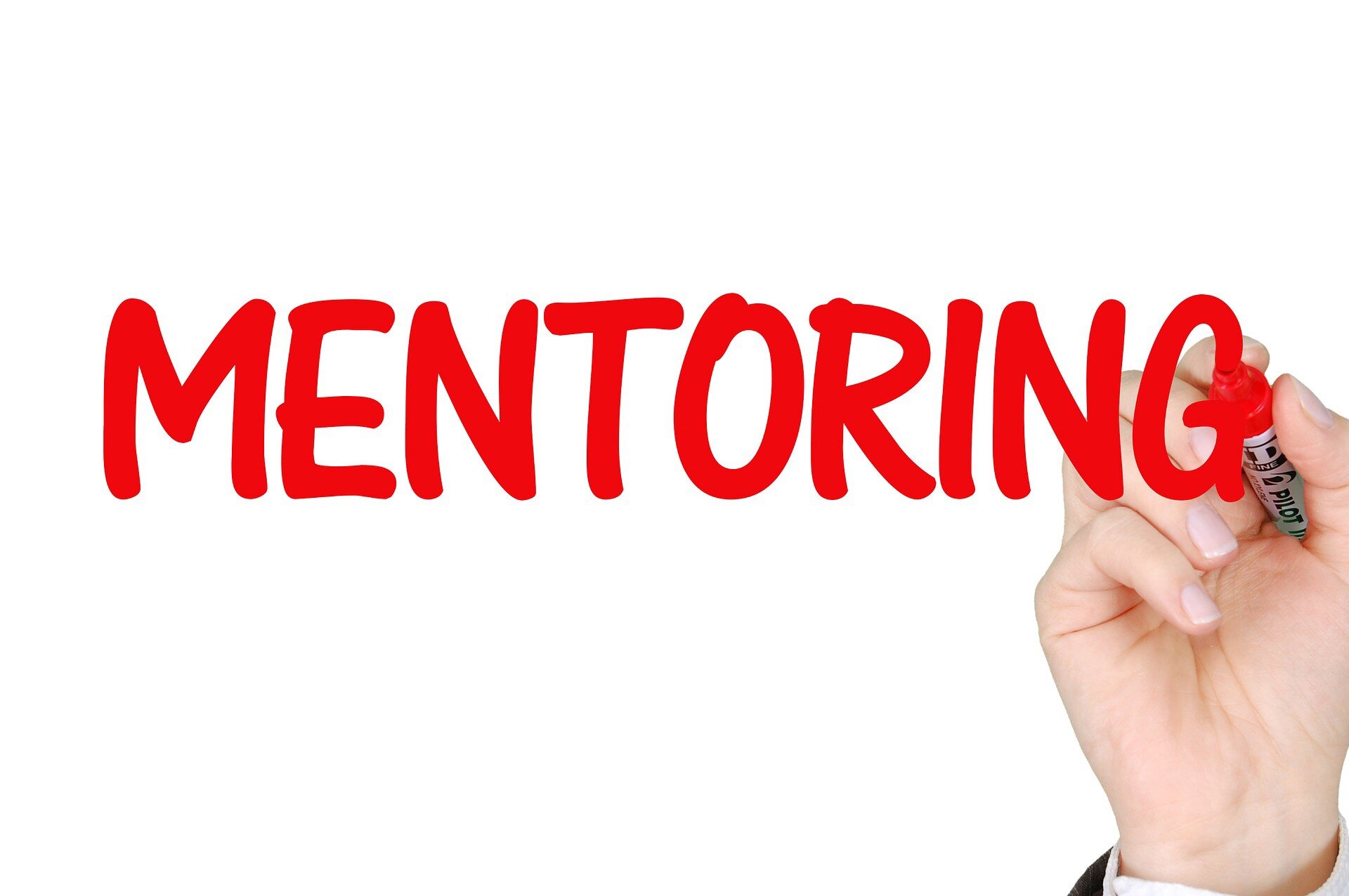 Why Mentors Mentor?