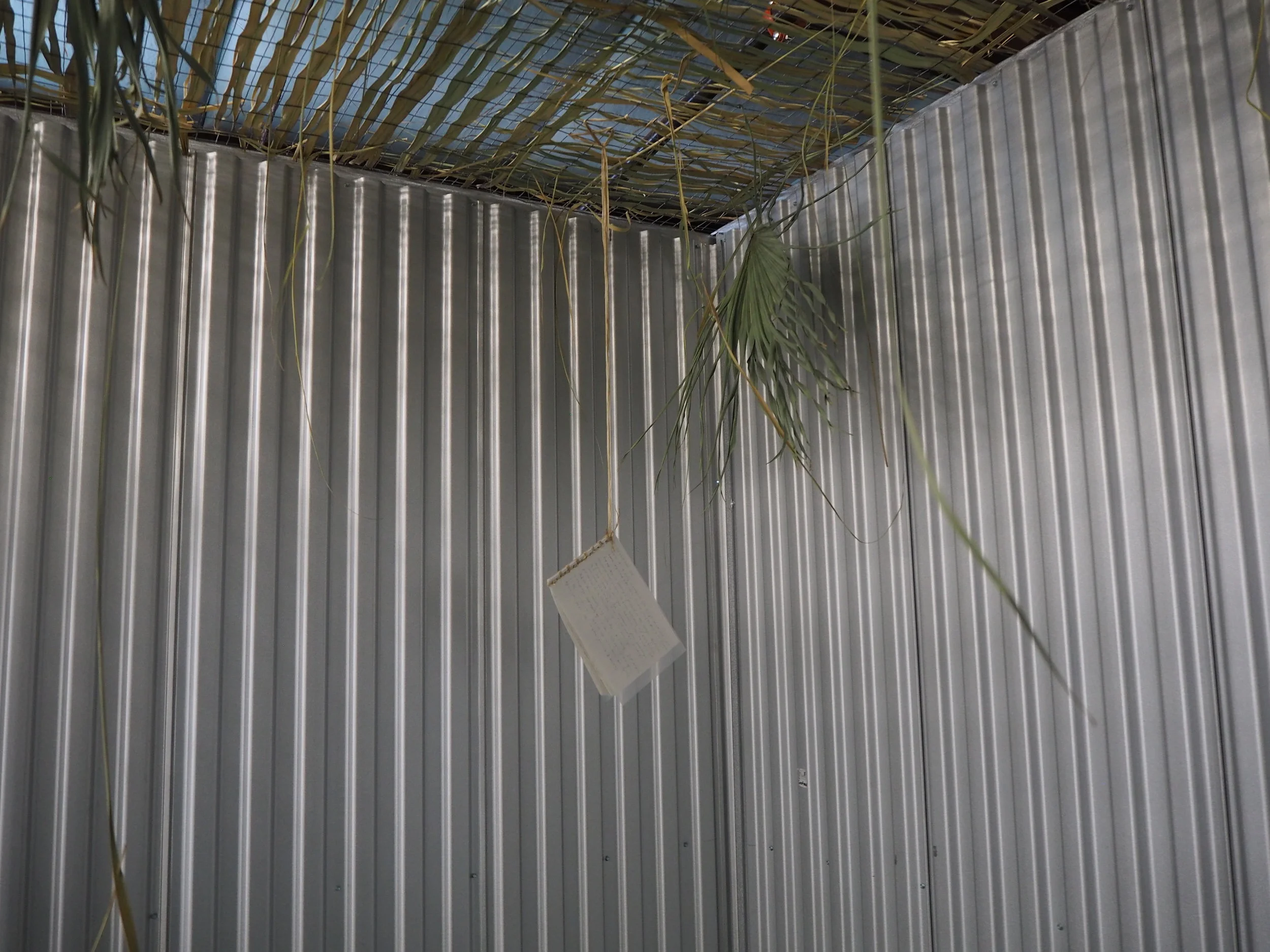 Jzeng_Oasis installation view.jpg
