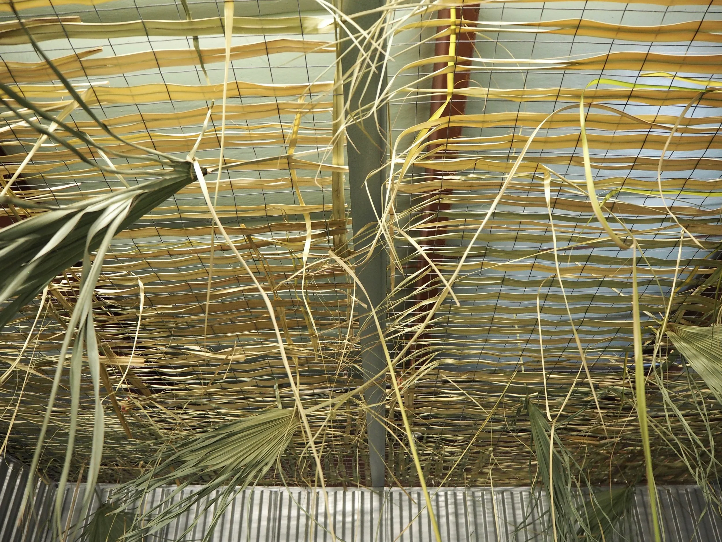 Jzeng_Oasis installation view.jpg