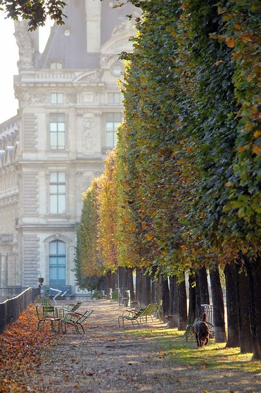 Paris Tullieries Gardens Fall.jpg