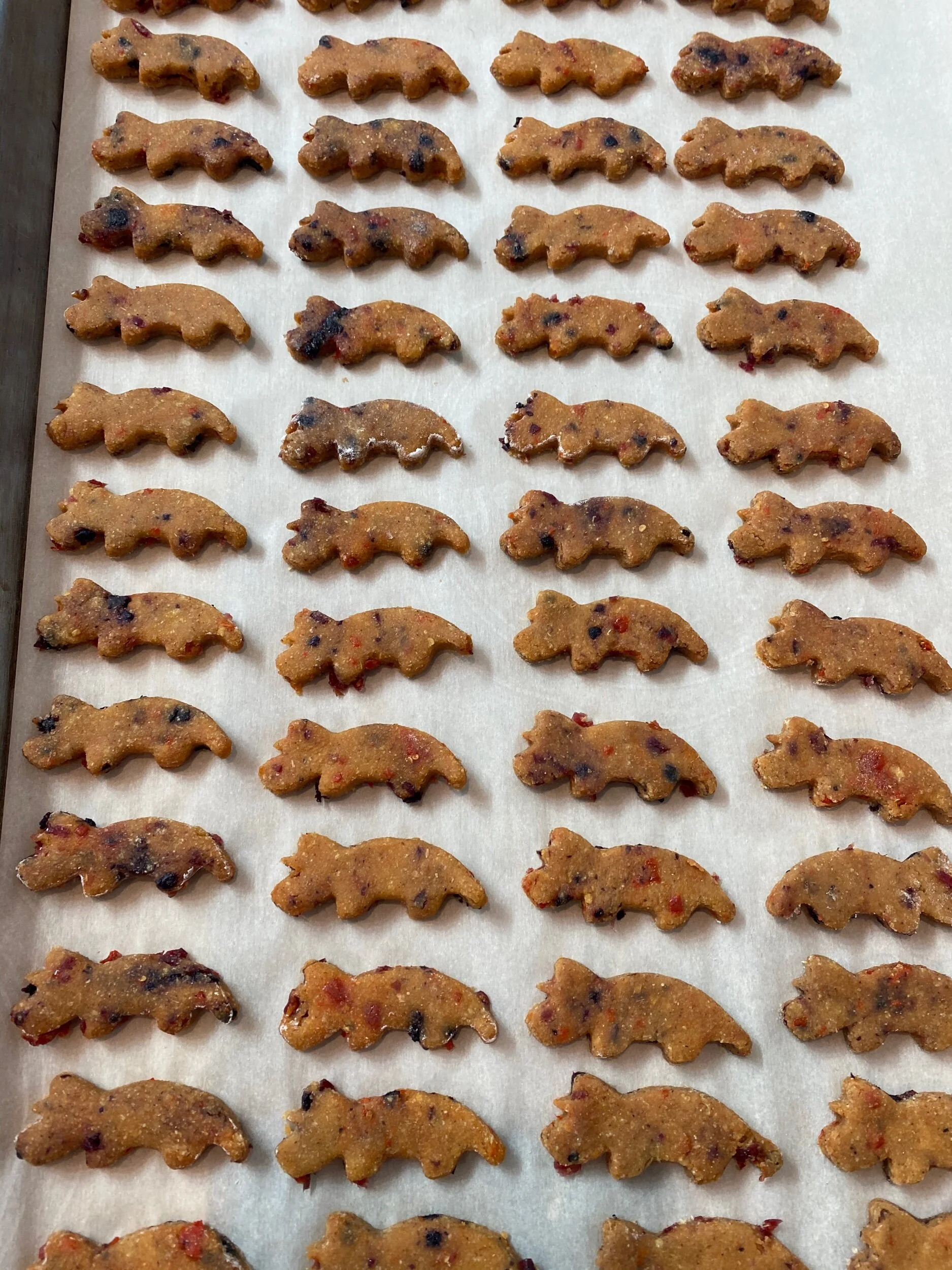 D6BEE8BA-28D9-4945-8F98-90FC1C216991