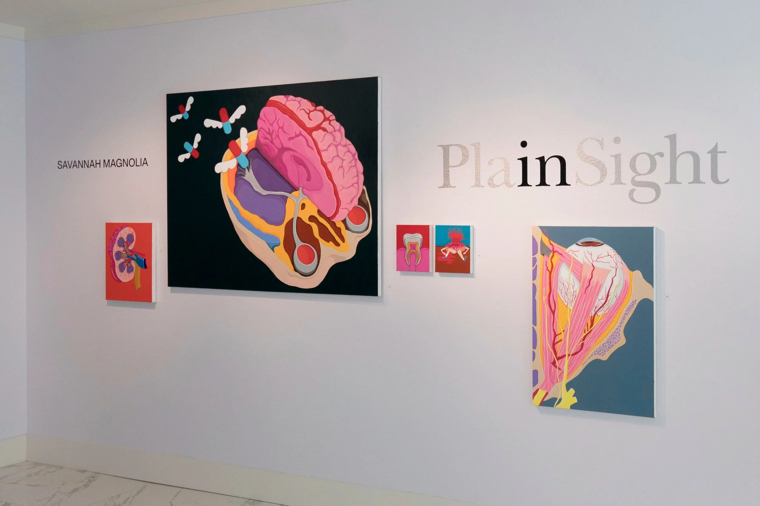 "In Plain Sight" - GAZE Modern Sarasota