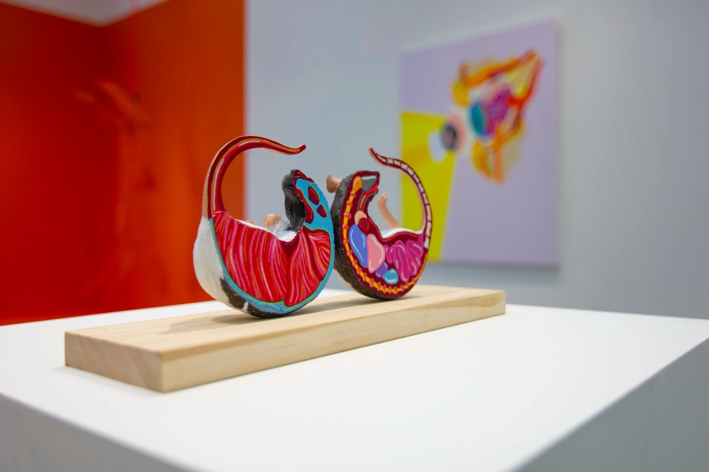 "Possible Side Effects" - Crossley Gallery (Thesis Show)