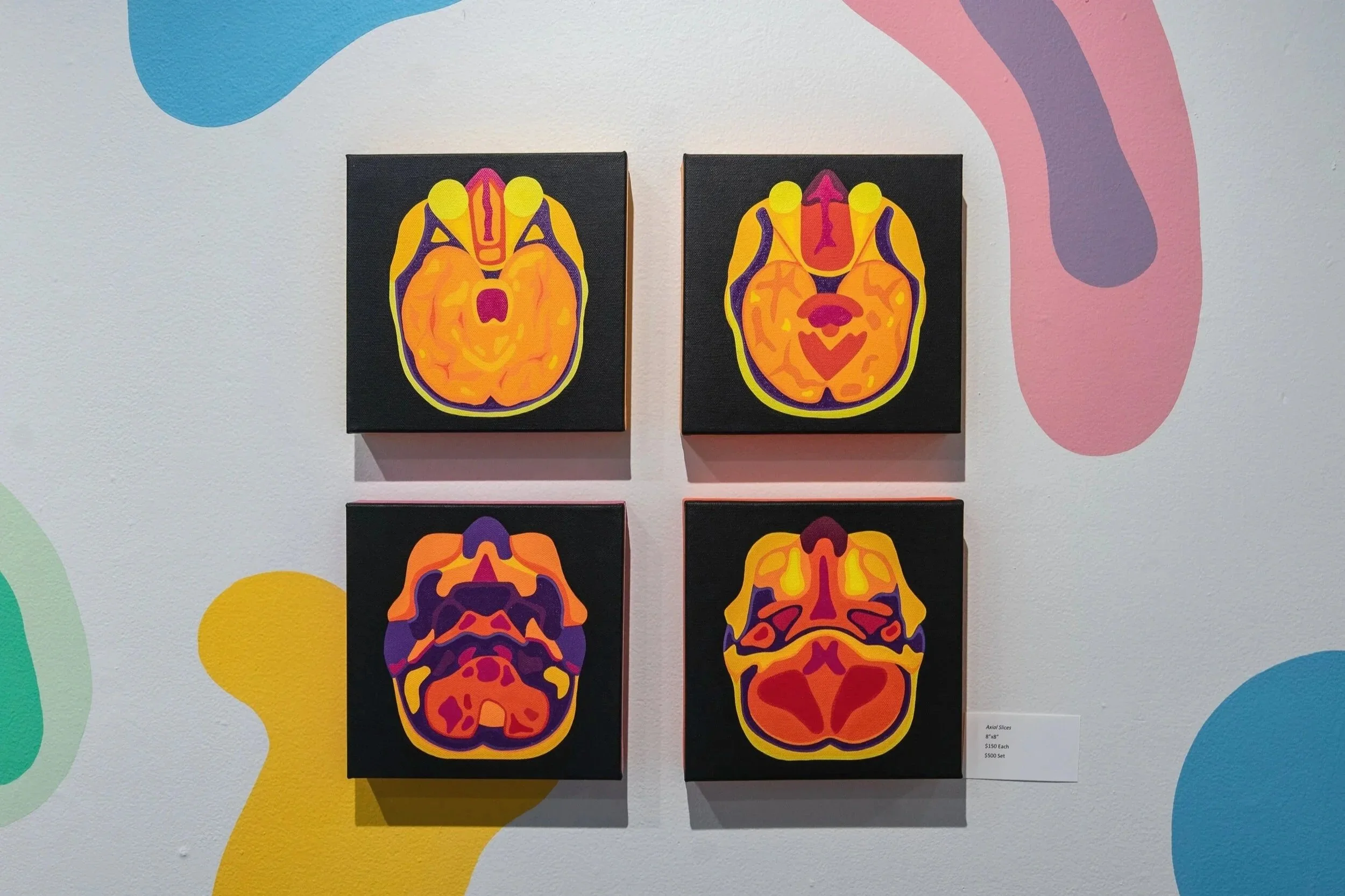 "Micro &amp; Macro" - ArtCenter Sarasota   (Solo Show)