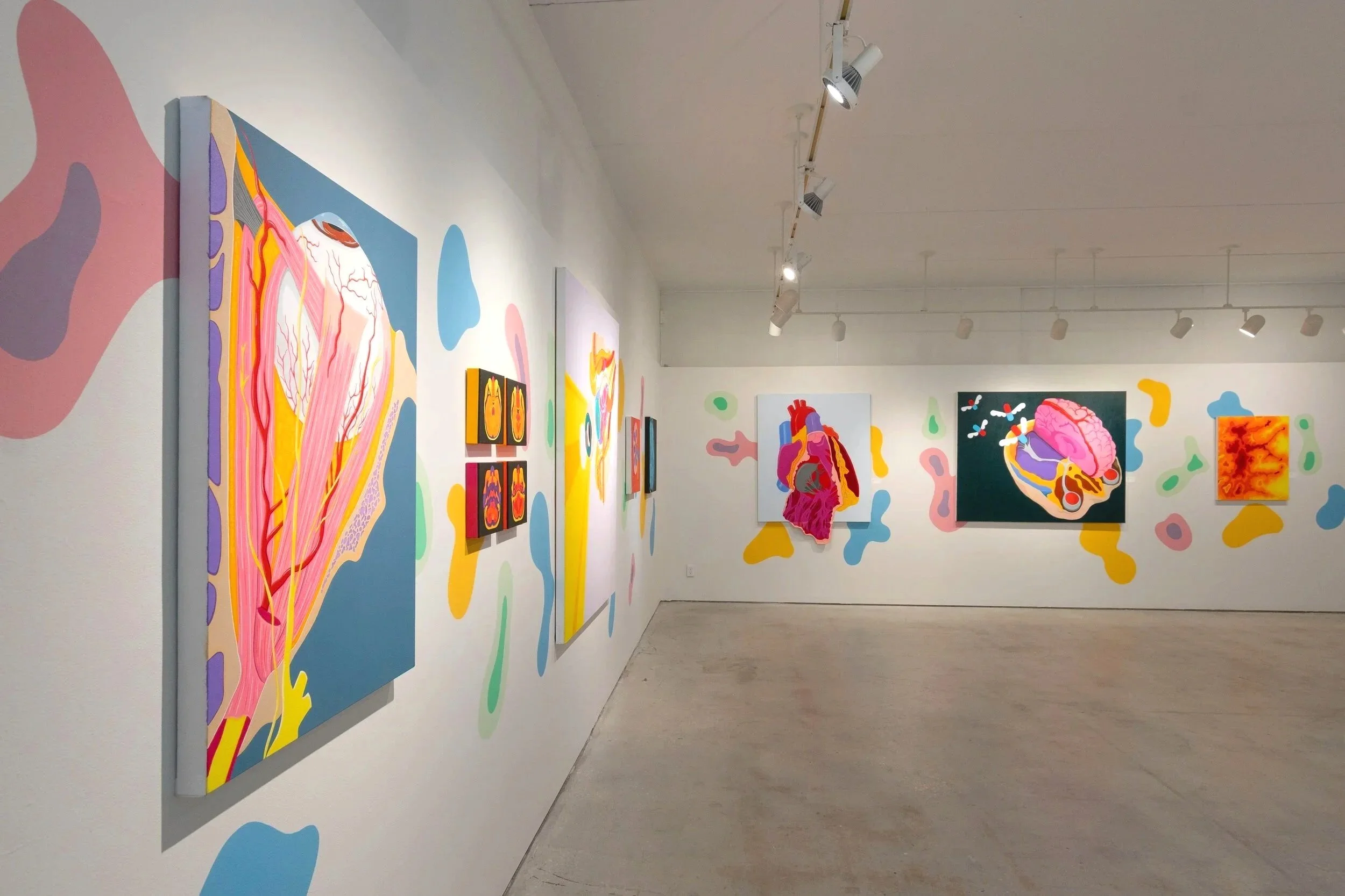 "Micro &amp; Macro" - ArtCenter Sarasota (Solo Show)
