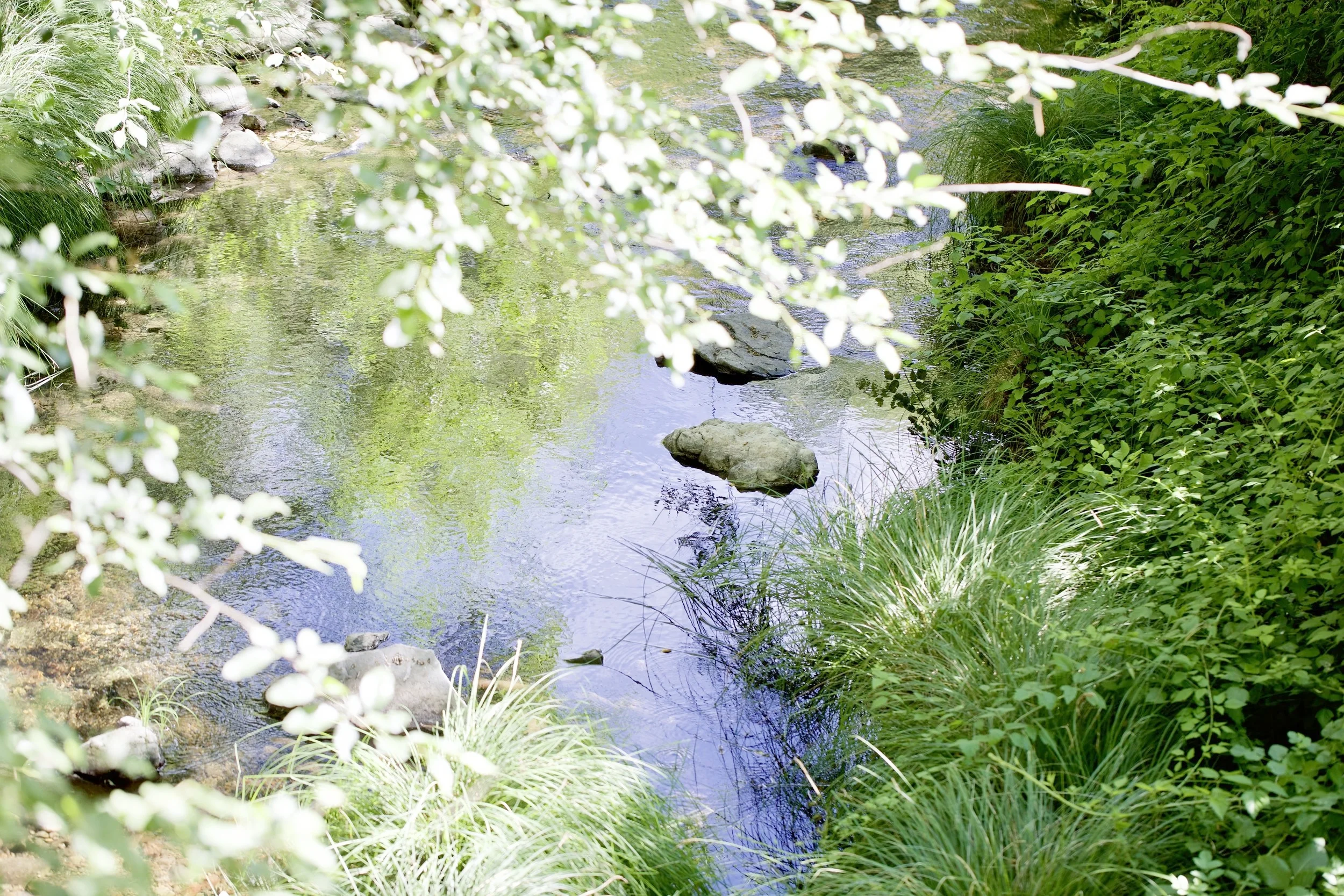 Mandala Springs Creek (Copy)